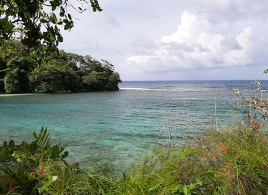 jamaica/port-antonio-area/attraction/pellew-island