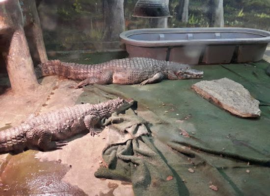 canada/western-manitoba/attraction/westman-reptile-gardens