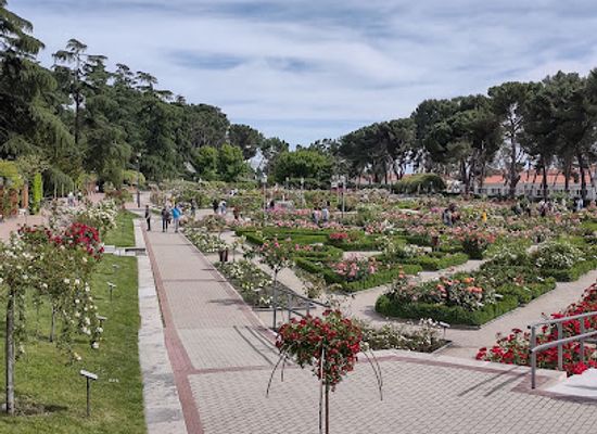spain/madrid-community/attraction/parque-del-oeste