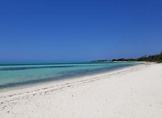 the-bahamas/lucaya/attraction/garden-of-the-groves