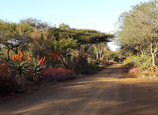 eswatini/lavumisa-border-post/attraction/zimanga-private-game-reserve