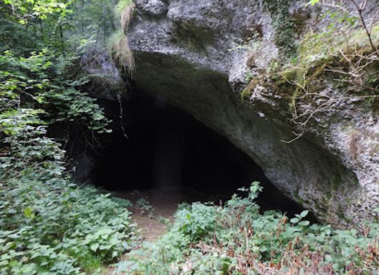 slovenia/gorizia/attraction/gabrovska-pecina-bear-cave
