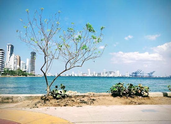 colombia/cartagena/bocagrande/attraction/bahia-de-cartagena