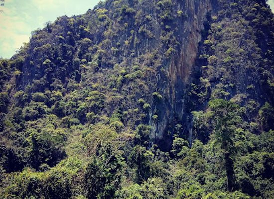 laos/phou-bia/attraction/bamboo-bridge