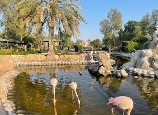 bahrain/riffa/attraction/al-areen-wildlife-park