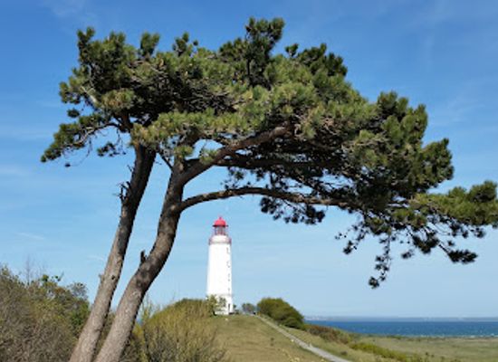 germany/baltic-sea-coast/attraction/dornbusch-lighthouse