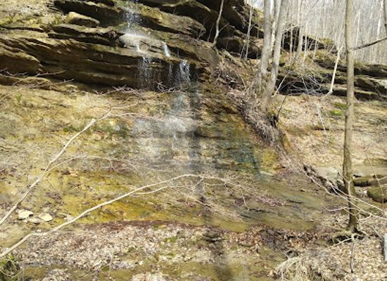 indiana/west-central-indiana/attraction/healthy-rivers-initiative-sugar-creek-conservation-area