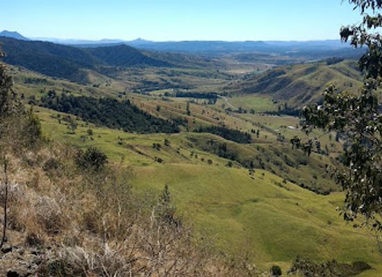australia/northern-rivers/attraction/border-ranges-national-park