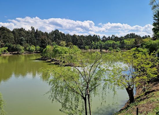 georgia/adjara/attraction/shekvetili-dendrological-park
