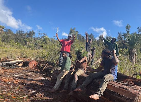 papua-new-guinea/highlands-region/attraction/lau-woods-basecamp-mt-giluwe-old-logging-site