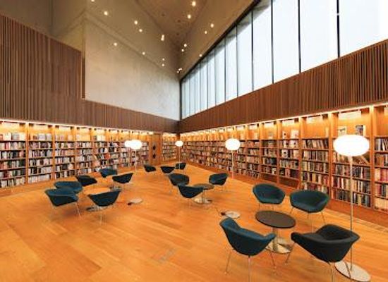 ireland/county-dublin/attraction/lexicon-library-and-cultural-centre