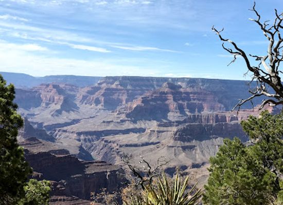 arizona/kaibab-national-forest/attraction/kaibab-national-forest