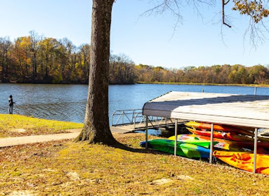 tennessee/west-tennessee/attraction/meeman-shelby-forest-state-park