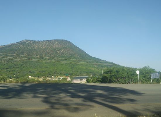 zambia/chipata/attraction/department-of-national-parks-and-wildlife-forest