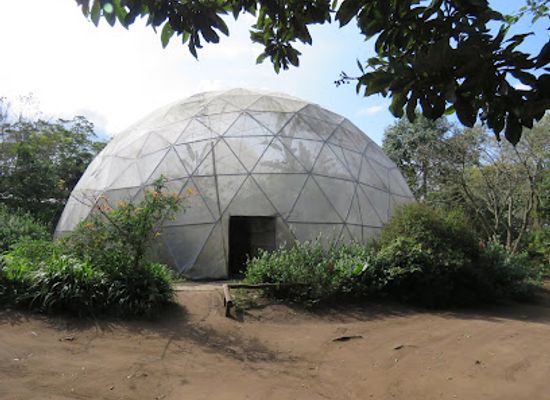 south-africa/zululand/attraction/eshowe-butterfly-dome