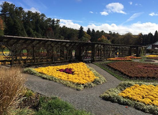 north-carolina/asheville/attraction/biltmore-rose-garden