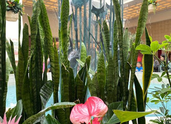 north-dakota/drift-prairie/attraction/west-acres-mall-fountain