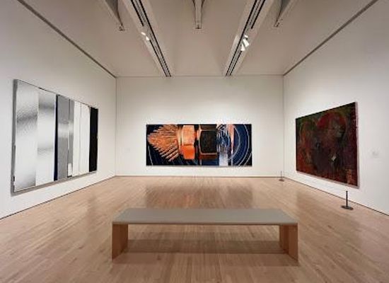 california/castro-valley/attraction/san-francisco-museum-of-modern-art