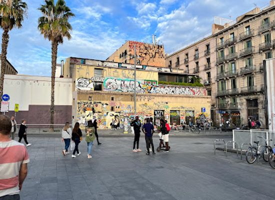 spain/barcelona/eixample/attraction/barcelona-museum-of-contemporary-art