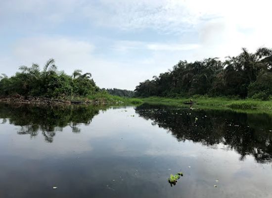 nigeria/south-west/attraction/epe-mangroves