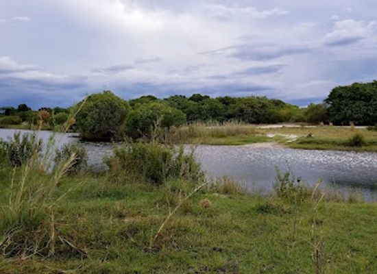 zambia/liuwa-plain/attraction/liuwa-plain-national-park