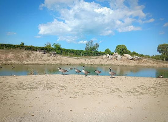 ohio/lake-erie-islands/attraction/african-safari-wildlife-park