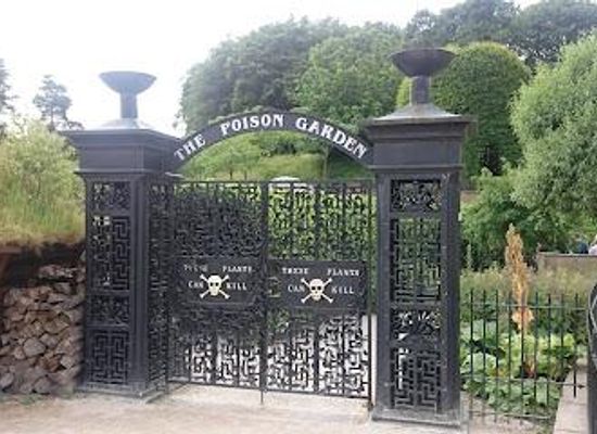 united-kingdom/northumberland-coast/attraction/the-alnwick-garden