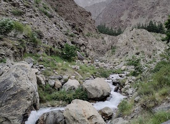 pakistan/gilgit-baltistan/attraction/chilidaar