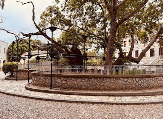 greece/kos/attraction/hippocrates-plane-tree