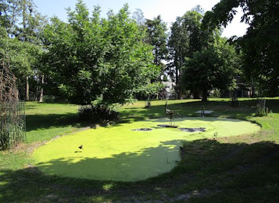 netherlands/sallandse-heuvelrug-national-park/attraction/storkpark