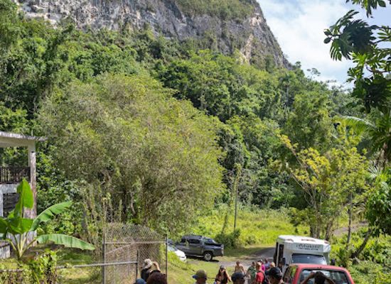 puerto-rico/camuy-river-cave-park/attraction/cueva-ensueno-dream-cave