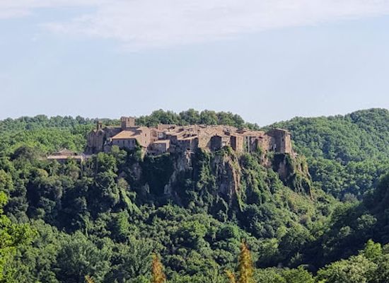 italy/maremma/attraction/opera-bosco
