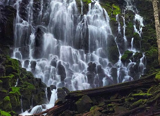 oregon/mt-hood-territory/attraction/ramona-falls-trailhead