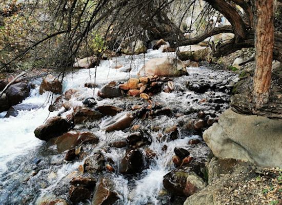 chile/metropolitan-region-of-santiago/attraction/parque-yerba-loca