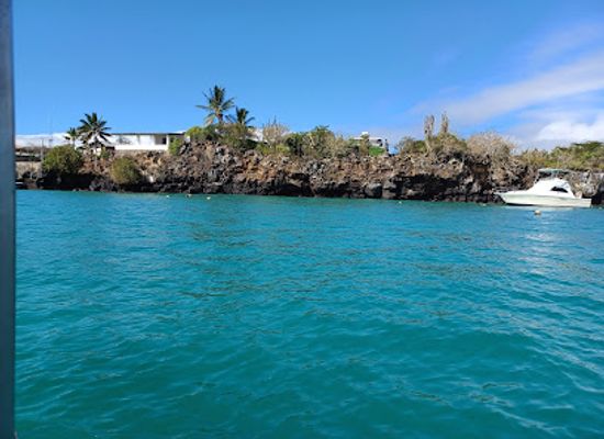 ecuador/galapagos-islands/attraction/rancho-primicias-giant-tortoise-reserve