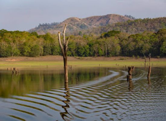 india/kerala/attraction/soochipara-waterfalls