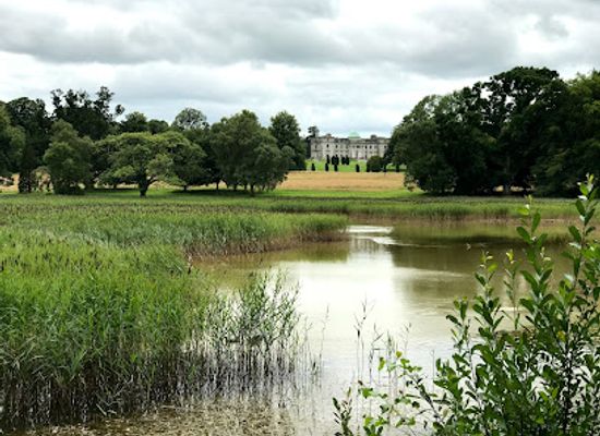 ireland/county-laois/attraction/emo-park