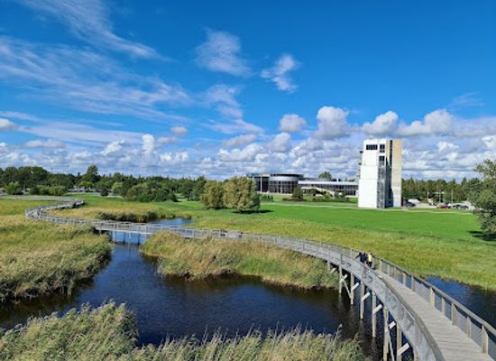 estonia/viljandimaa/attraction/rannaniidu-matkarada