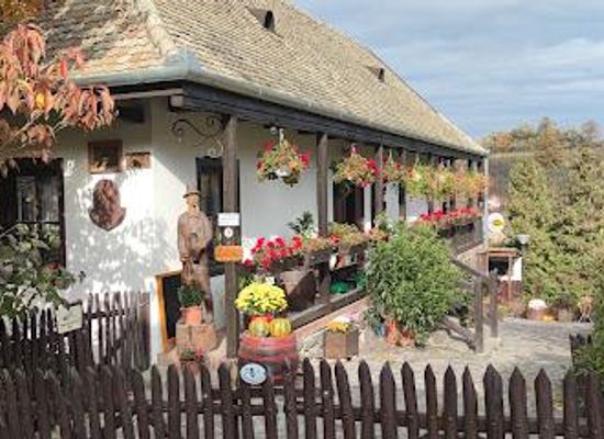 hungary/salgotarjan/attraction/holloko
