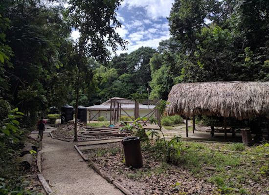 trinidad-and-tobago/mayaro/attraction/cleaver-woods-park