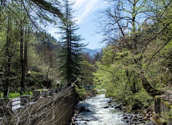 georgia/samtskhe-javakheti/attraction/borjomi-kharagauli-national-park