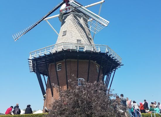 michigan/west-michigan/attraction/windmill-island-gardens