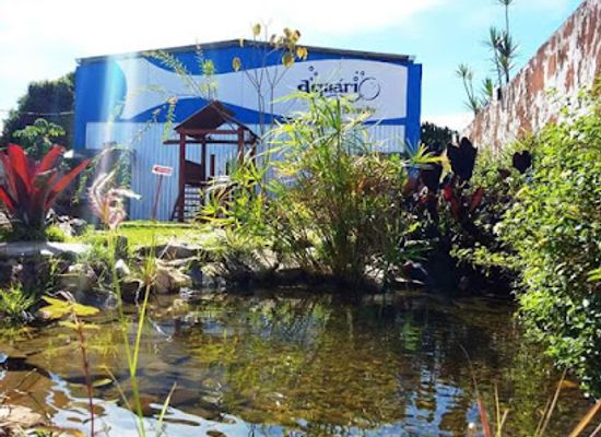 brazil/bonito/attraction/bonito-s-aquarium