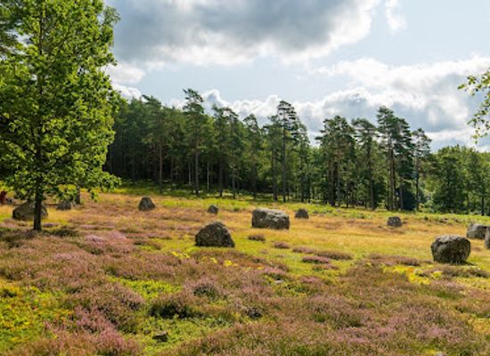 sweden/bohuslan/landmark/bohuslans-storsta-domarring