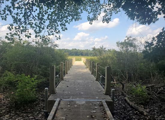 indiana/elkhart/attraction/boot-lake-nature-preserve