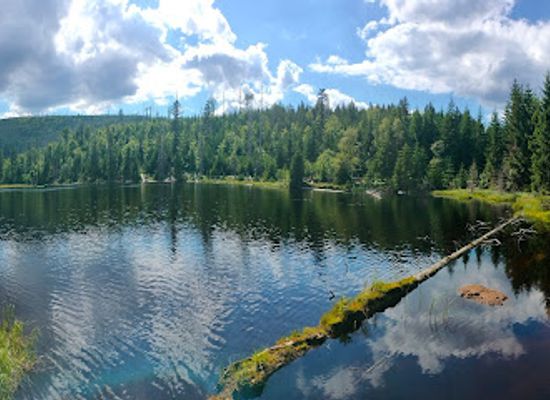 czechia/sumava/attraction/jezero-laka