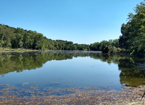 illinois/western-illinois/attraction/spring-lake-state-fish-and-wildlife-area