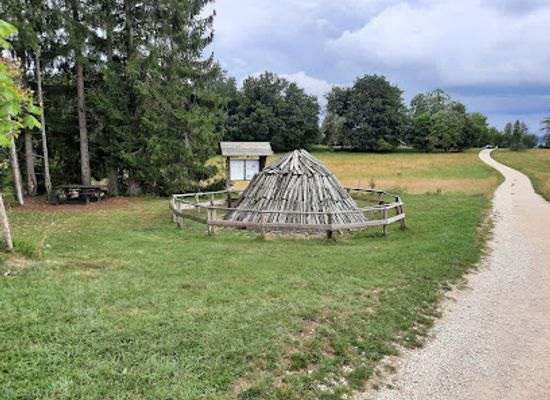 germany/baden/attraction/kohlenmeiler-holzkohle