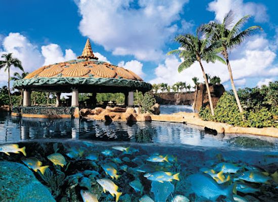 the-bahamas/nassau/paradise-island/attraction/marine-habitat-at-atlantis