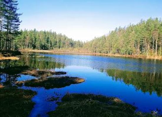norway/oslo/attraction/ostmarka
